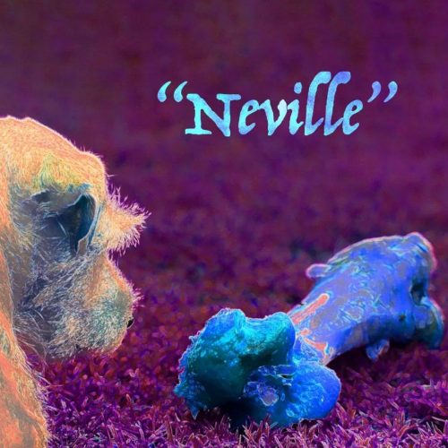 Neville-album-cover